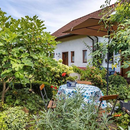Ferienwohnung Alina Зинген Экстерьер фото