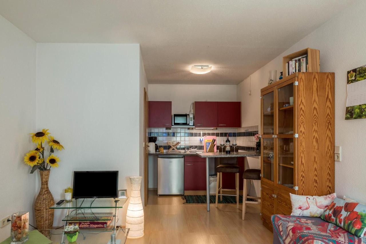 Ferienwohnung Alina Зинген Экстерьер фото