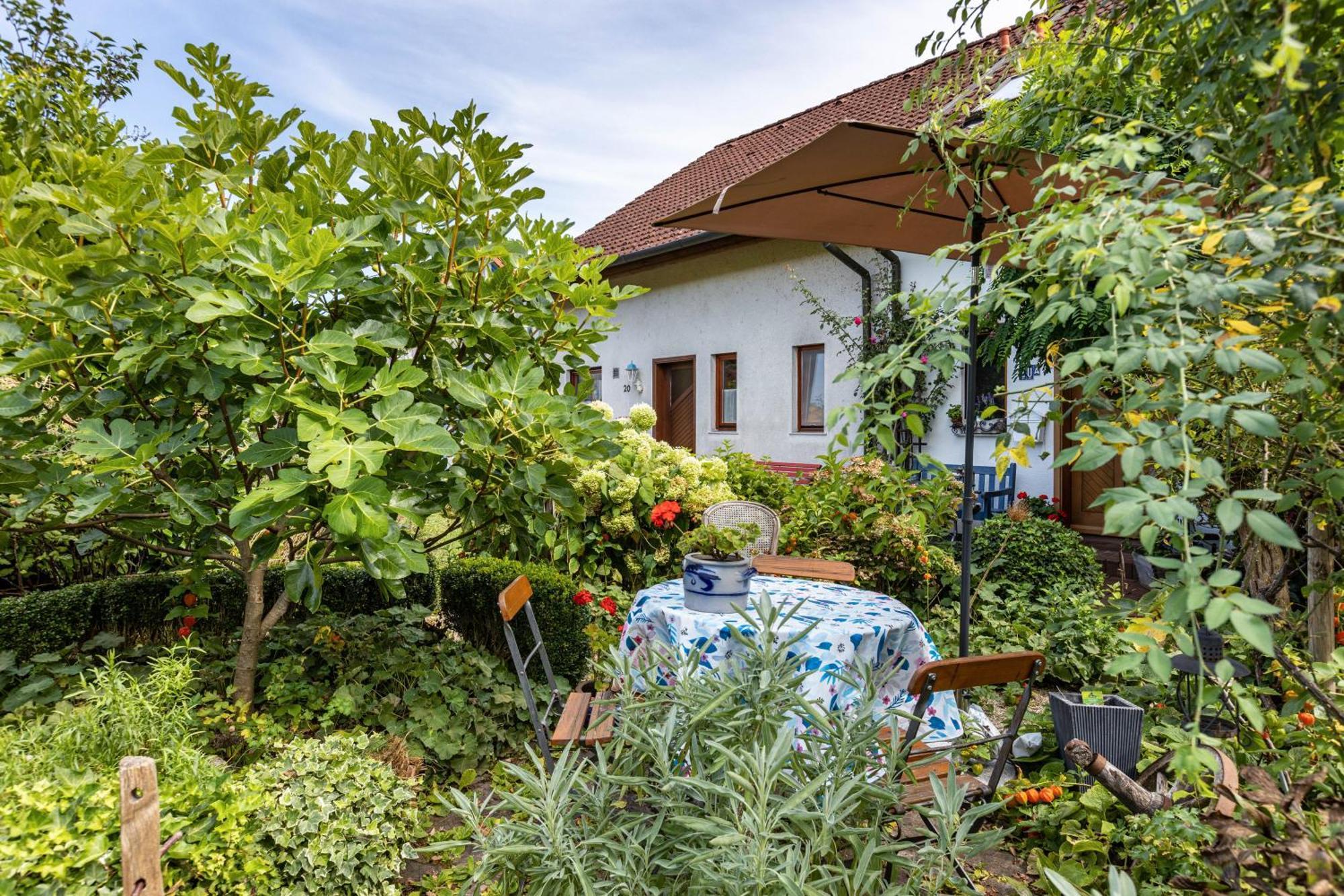 Ferienwohnung Alina Зинген Экстерьер фото
